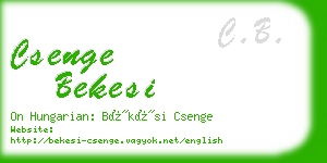 csenge bekesi business card